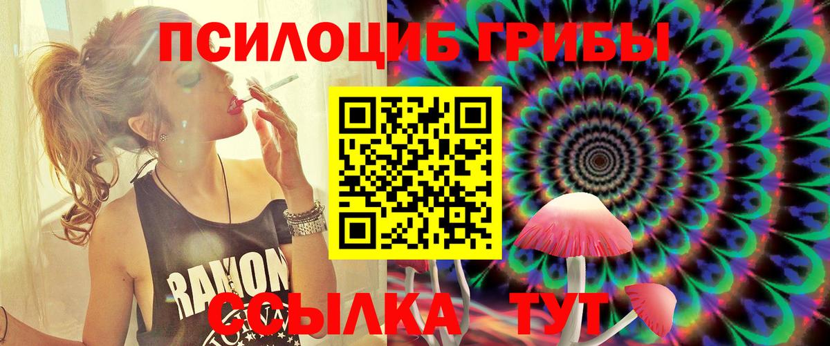 Псилоцибиновые грибы Cubensis  Вход с VPN  Краснодар  Псилоцибиновые грибы мухоморы 