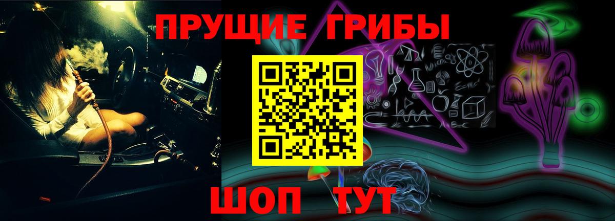 Псилоцибиновые грибы Psilocybe Краснодар